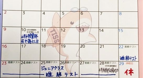 ６月度のスケジュール