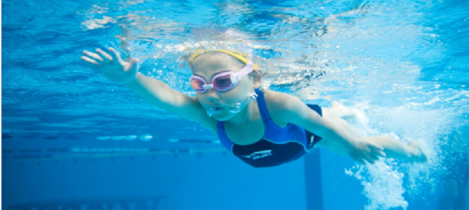 2026年度が始まりました！