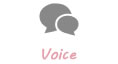 Voice